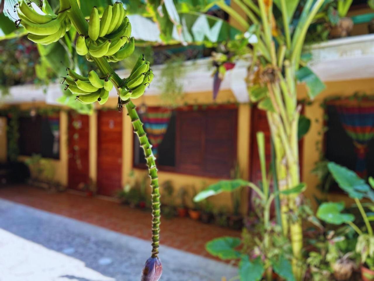 Hotel Casa Del Mar Mazunte Santa Maria Tonameca Ngoại thất bức ảnh